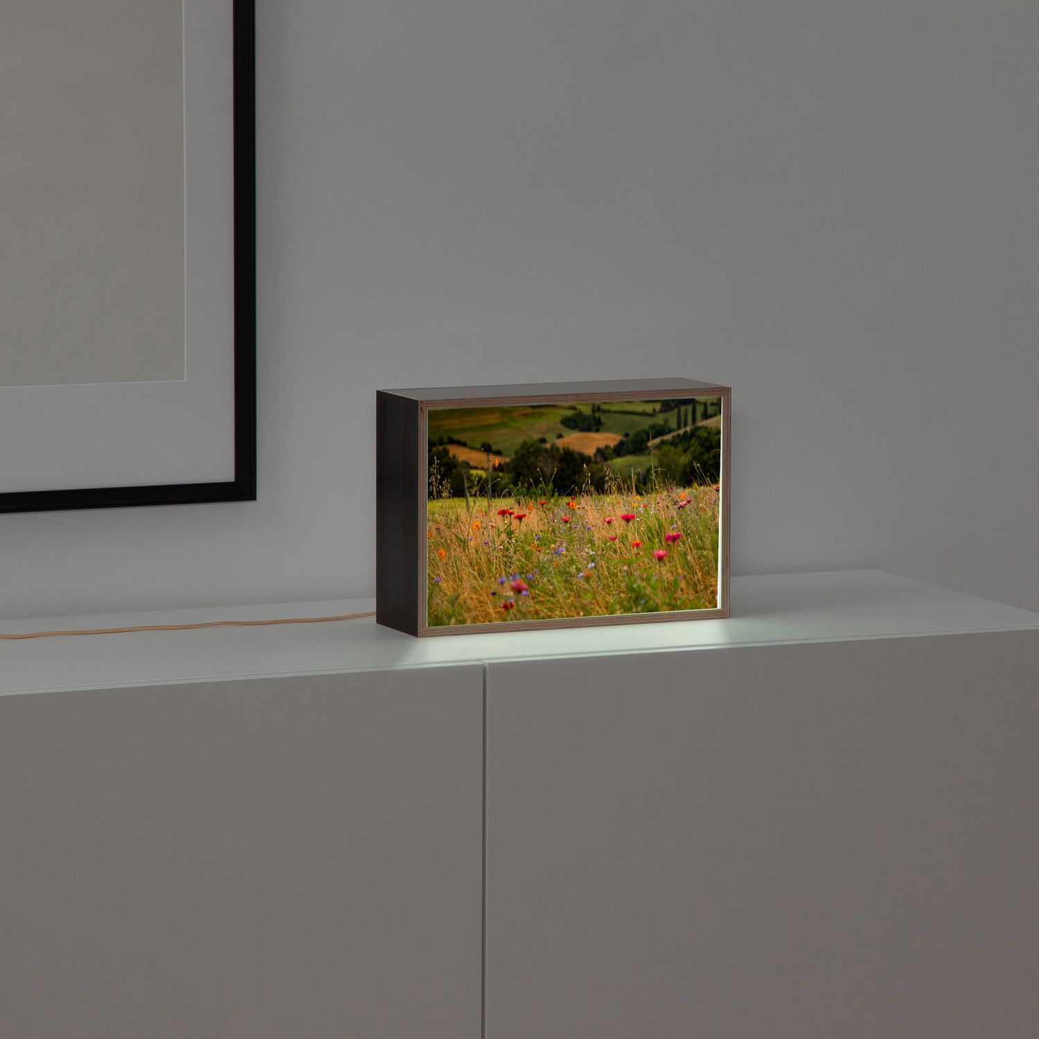 Box lumineuse\n\r« Fleurs »\n\rRémi Gintzburger x Dada